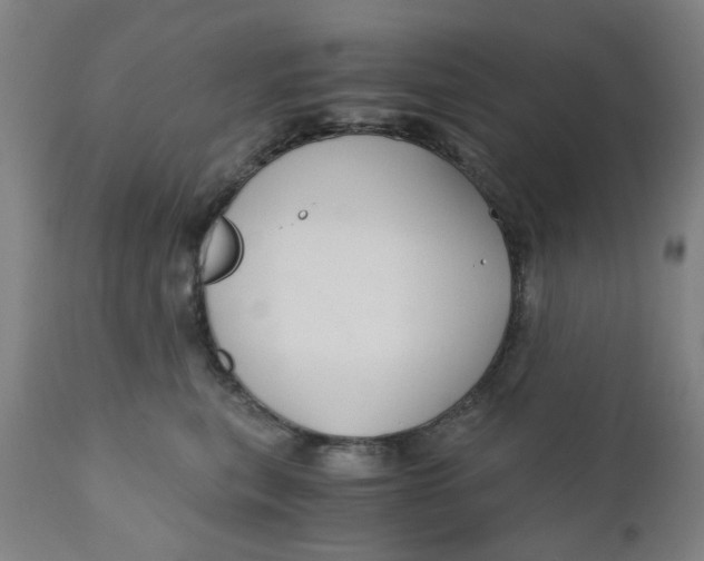 X0000110670567200907021849