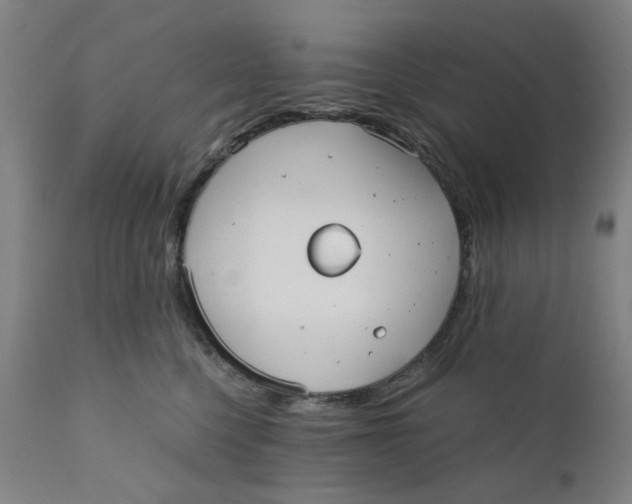 X0000110670568200907021849