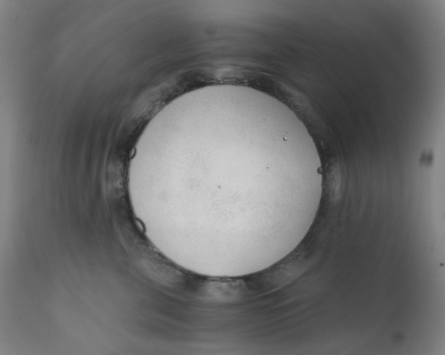 X0000110670571200907021849