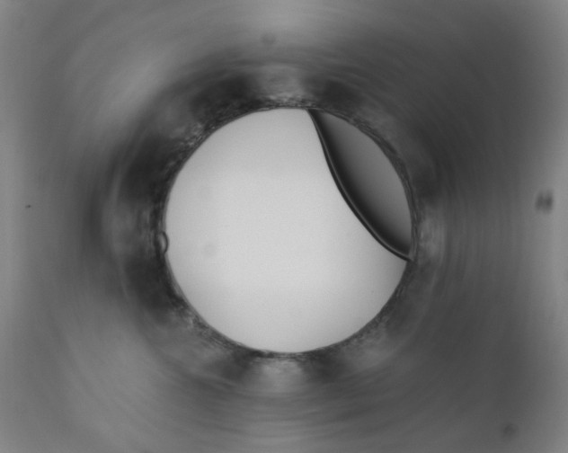 X0000110670572200907021849
