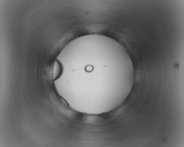X0000110670575200907021849