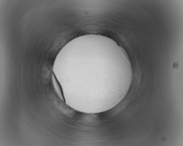 X0000110670576200907021849