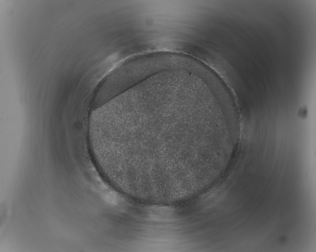 X0000110670577200907021848