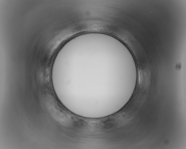 X0000110670579200907021848