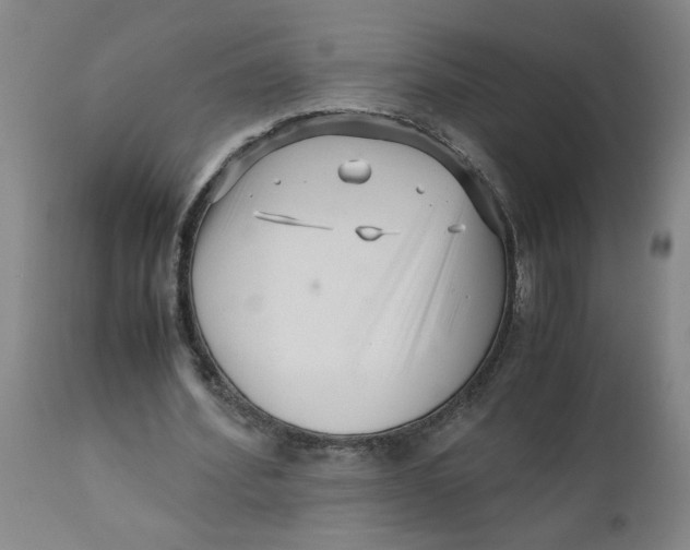 X0000110670580200907021848