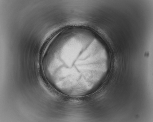 X0000110670582200907021848
