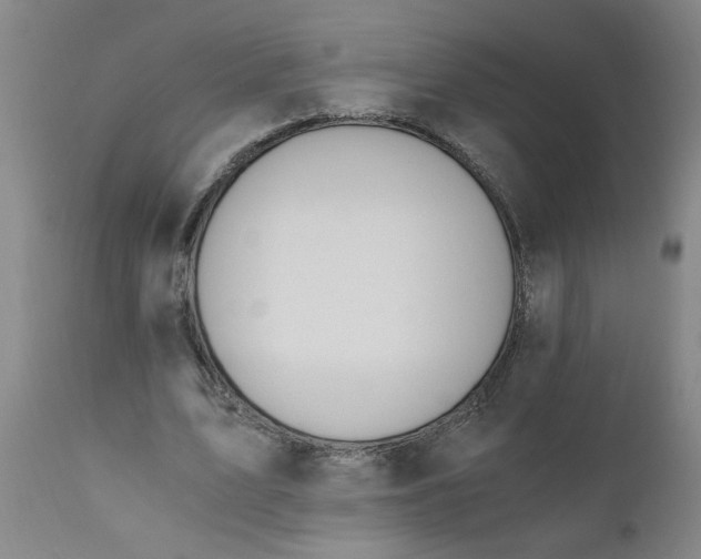 X0000110670583200907021848