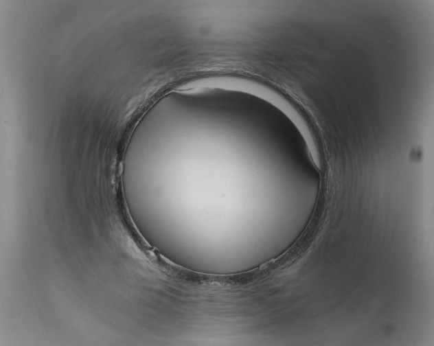 X0000110670585200907021848