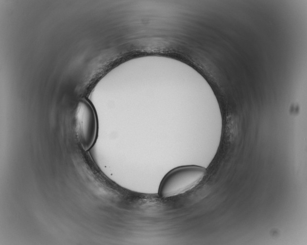 X0000110670589200907021848