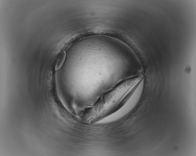 X0000110670592200907021848