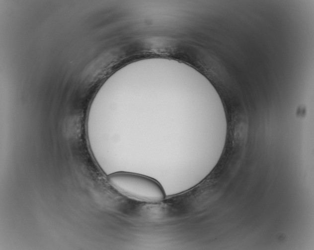 X0000110670595200907021848