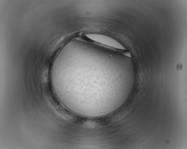 X0000110670596200907021848