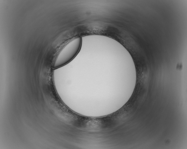 X0000110670599200907021848