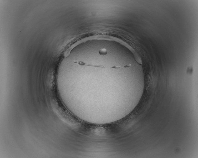 X0000110670600200907021848