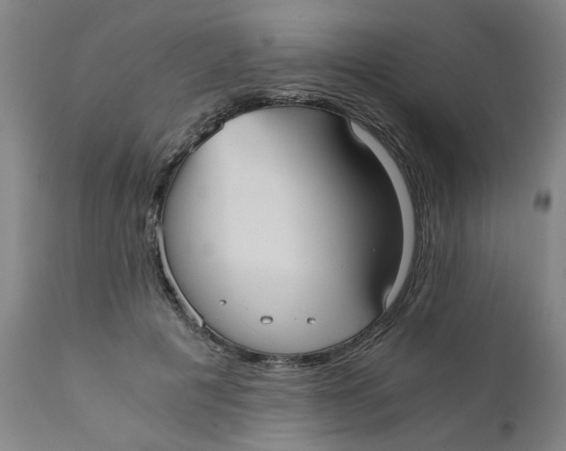 X0000110670601200907021848