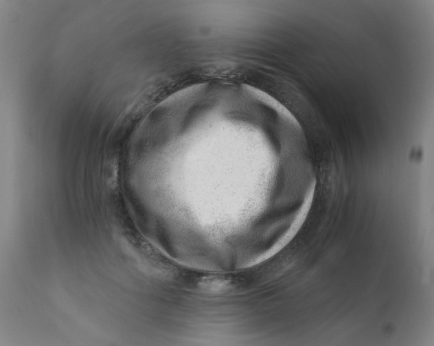 X0000110670602200907021848