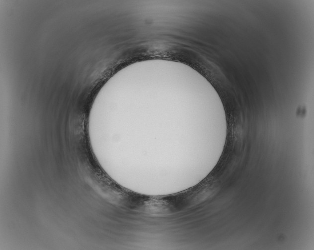 X0000110670603200907021848