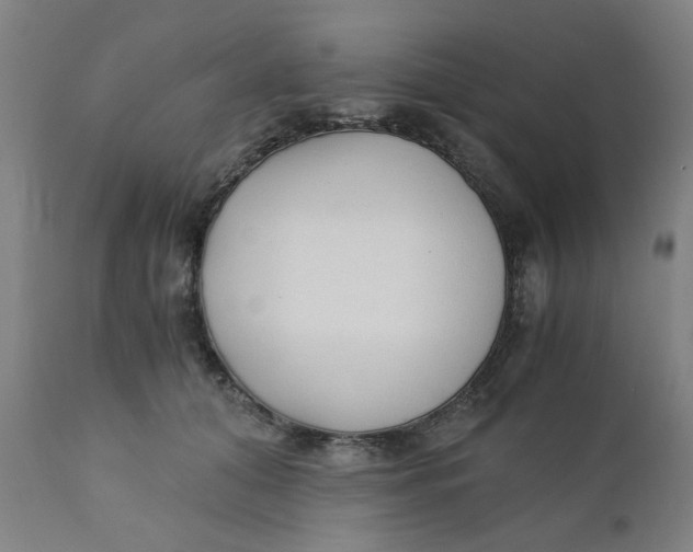 X0000110670608200907021848