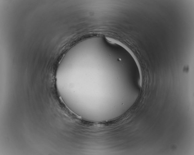 X0000110670609200907021848