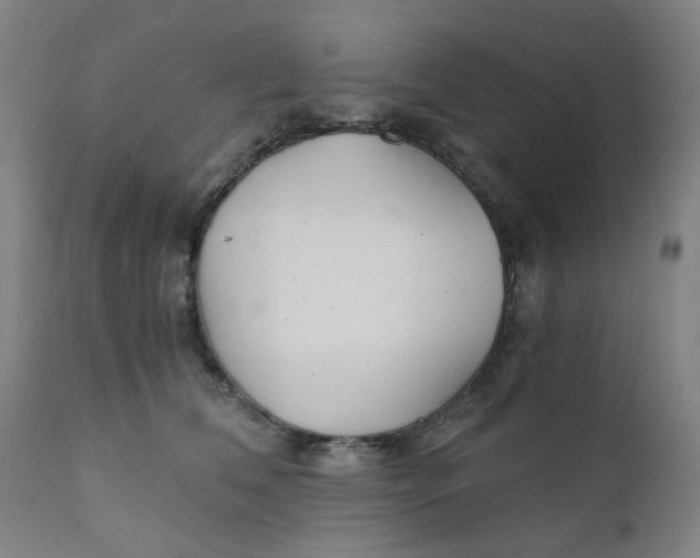 X0000110670612200907021848