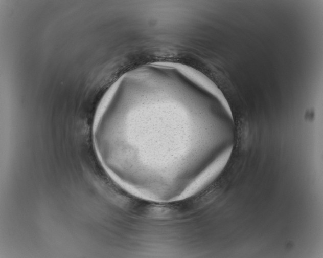 X0000110670614200907021848
