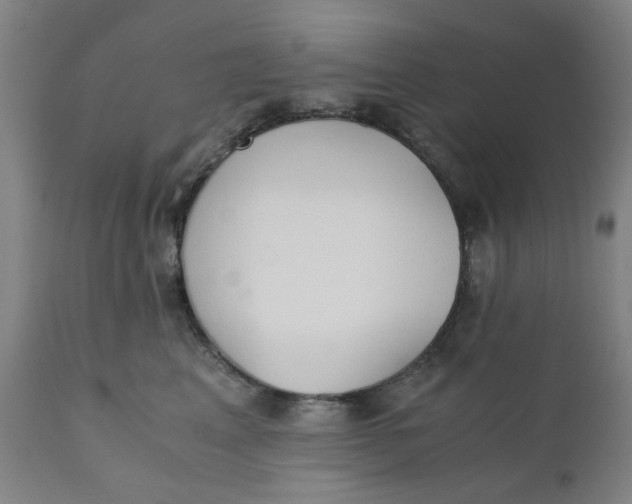 X0000110670617200907021848