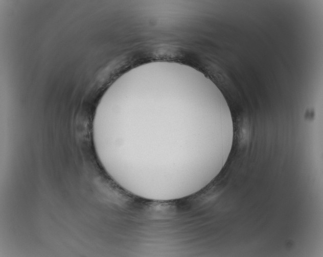 X0000110670619200907021847