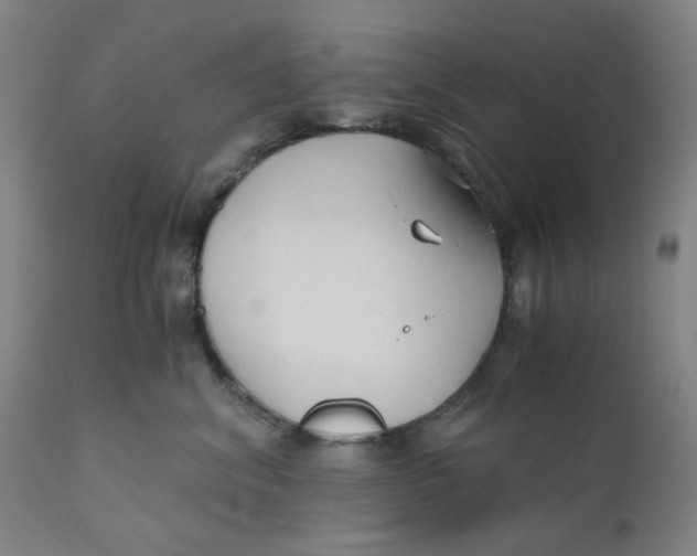 X0000110670620200907021847