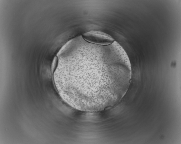 X0000110670622200907021847