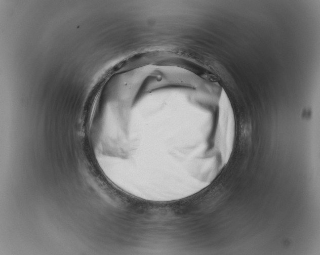 X0000110670628200907021847