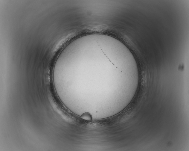 X0000110670634200907021847