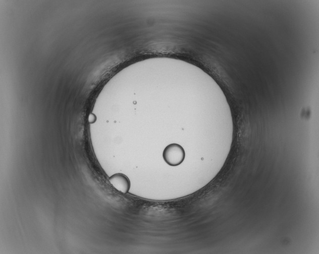 X0000110670635200907021847
