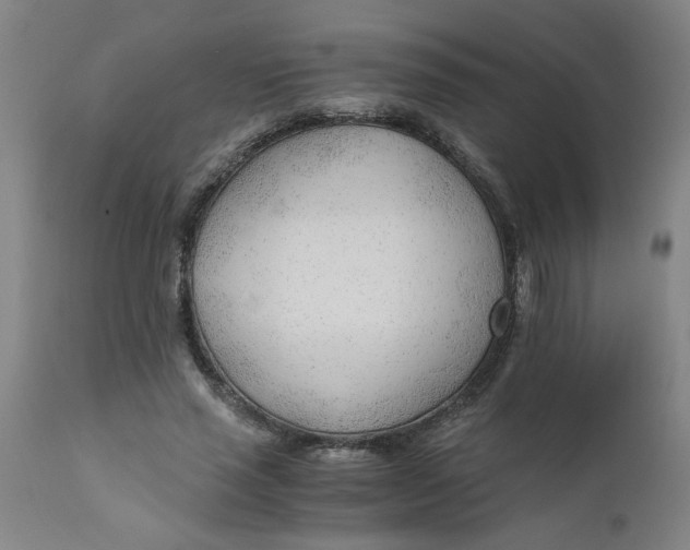 X0000110670637200907021847