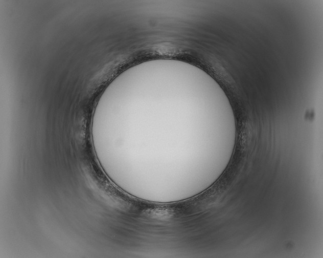 X0000110670639200907021847