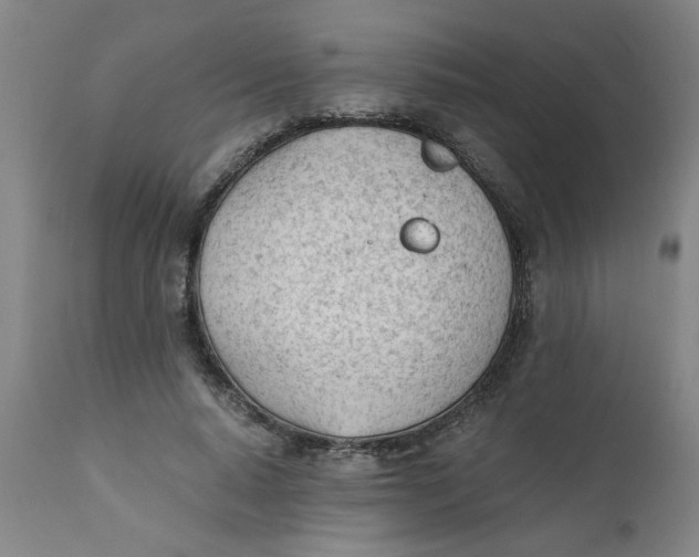 X0000110670640200907021847