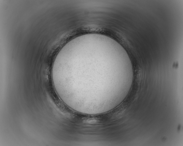 X0000110670643200907021847