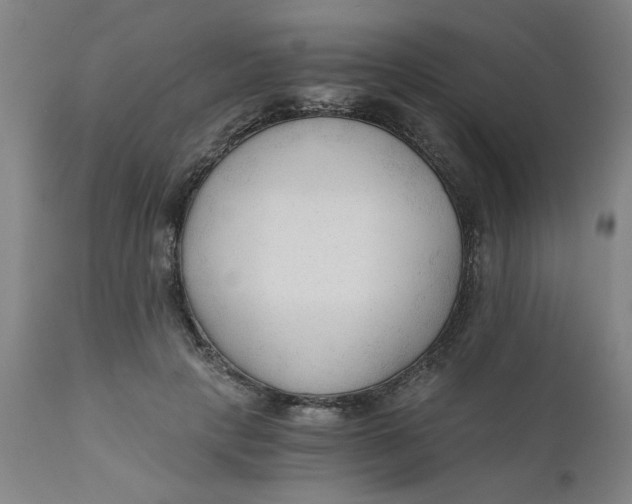 X0000110670649200907021847