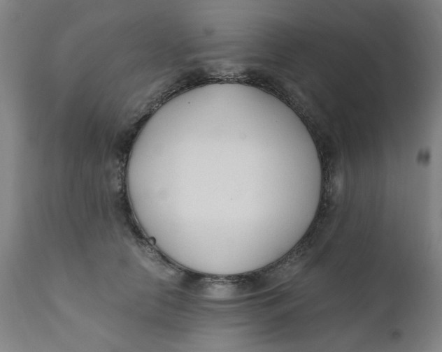X0000110670658200907021847