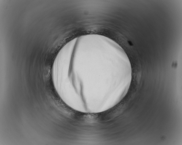 X0000110670660200907021847