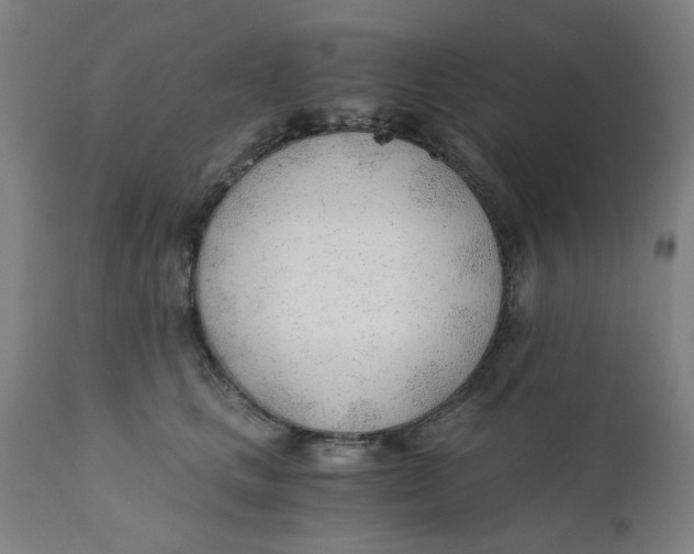 X0000110670661200907021847