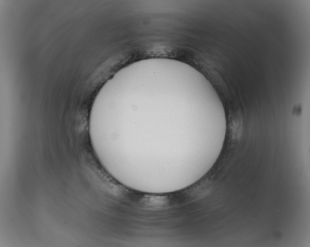 X0000110670665200907021847