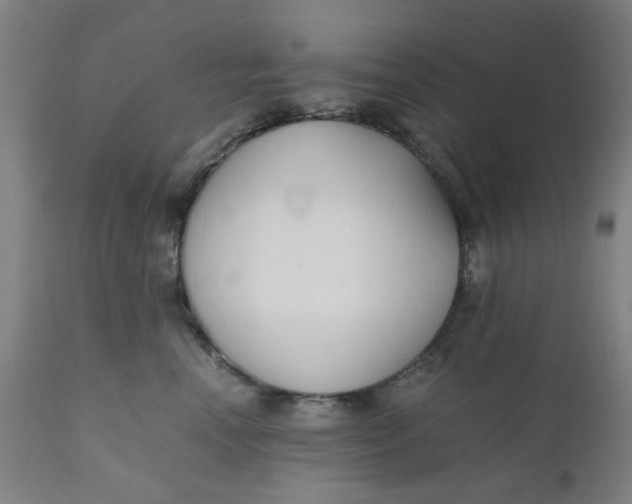 X0000110670666200907021847