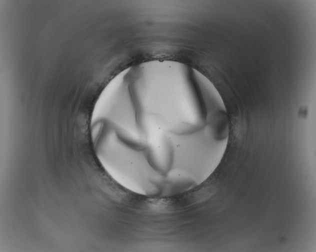 X0000110670667200907021847