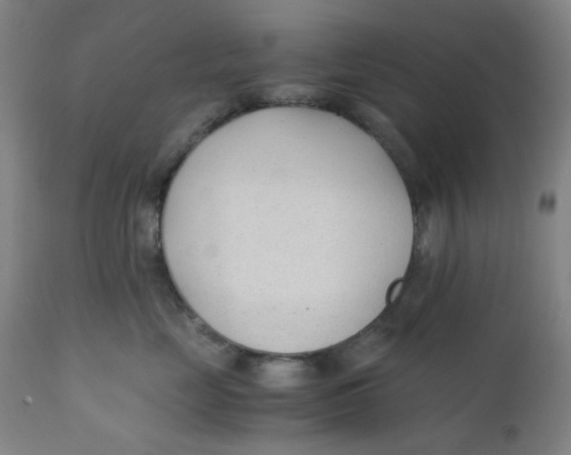 X0000110670669200907021847