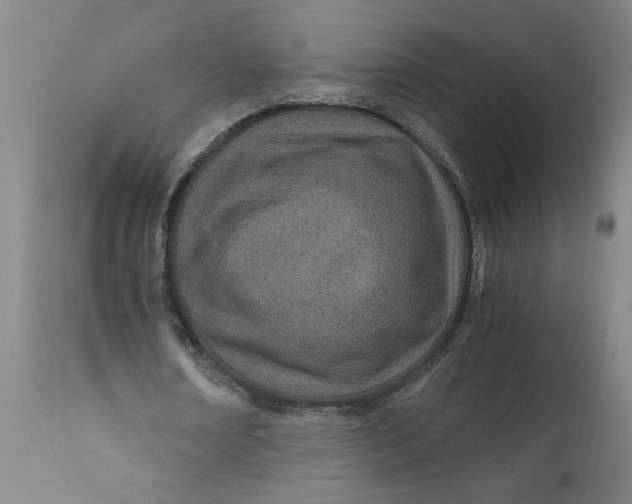 X0000110670674200907021847