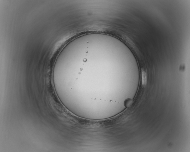 X0000110670675200907021847