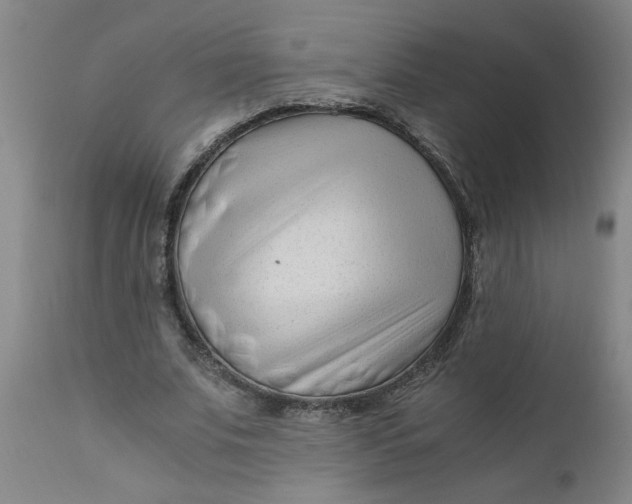 X0000110670679200907021846