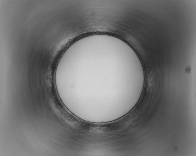 X0000110670680200907021846
