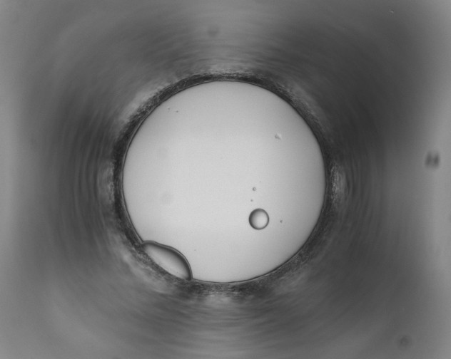 X0000110670684200907021846