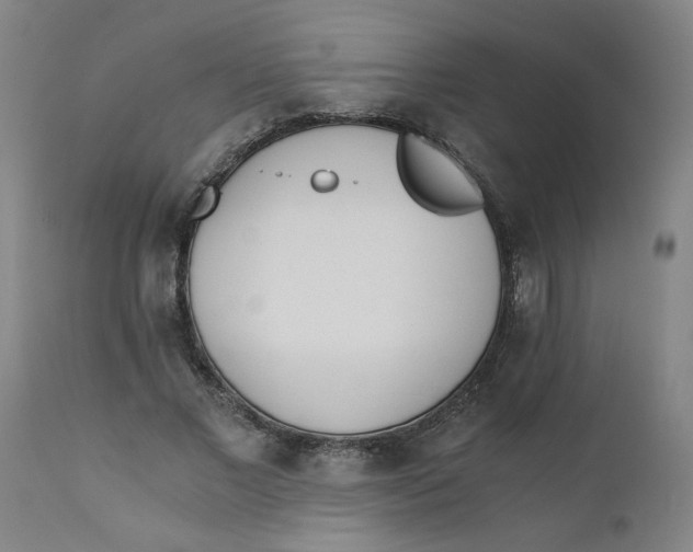 X0000110670685200907021846